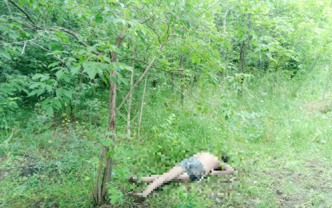 Йошкаролинцы обнаружили в лесу мертвого мужчину в нижнем белье