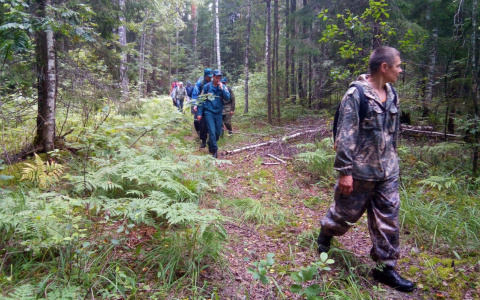 Экстрасенс из Марий Эл рассказала, где искать женщину, пропавшую в лесу несколько дней назад