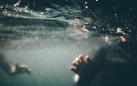 В Марий Эл отдыхающие на озере подняли тело утонувшей женщины