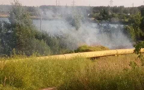 В Йошкар-Оле горела трава около газовой трубы