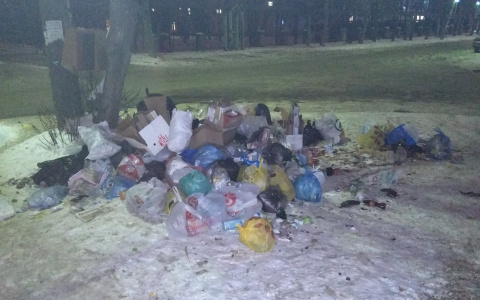 «Завалили»: в Йошкар-Оле очередная куча мусора «терроризирует» горожан