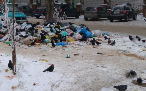 «Завалили»: йошкаролинцы продолжают мусорить около своих домов