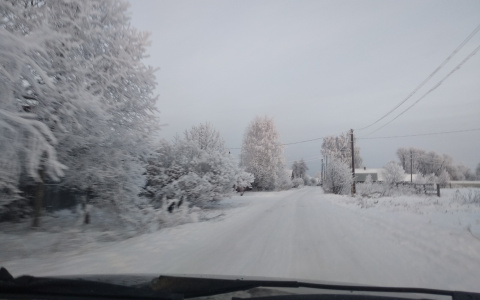 О погоде в Йошкар-Оле — последняя декабрьская неделя будет снежной