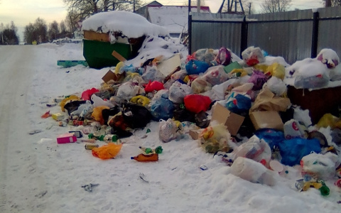 В Йошкар-Оле частный сектор завалили мусором