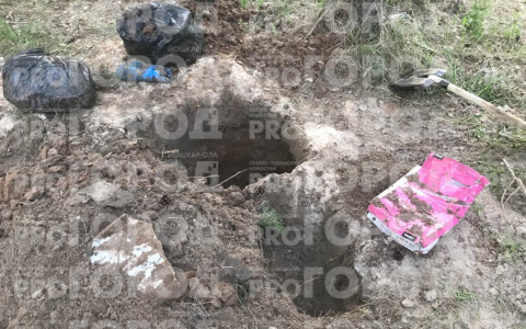 Террорист из Марий Эл, угрожавший полицейским, прятал в лесу самодельную бомбу