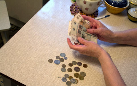 В Марий Эл росгвардейцы поймали вора, который обездолил пенсионера средь белого дня