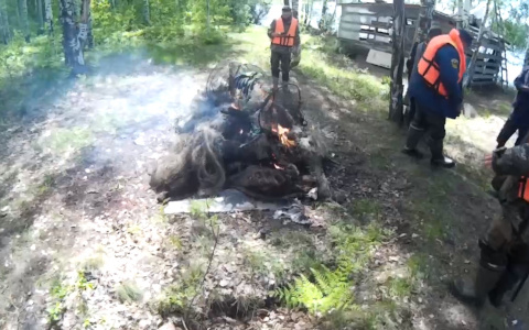 Активисты в Марий Эл сожгли брошенные сети в реках, расставленные браконьерами