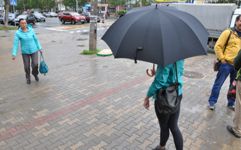 Советы йошкаролинцам, как правильно выбрать зонт для непогоды