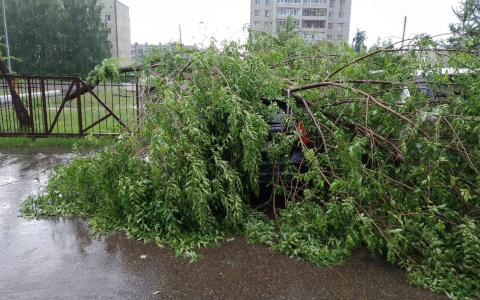 Чиновники выехали на ликвидацию последствий урагана в Волжске
