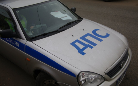 Лихачку из Марий Эл смогло остановить дерево