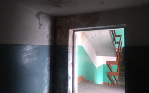 «Запах в квартире хуже, чем в уличном туалете»: общественник нашел в Йошкар-Оле еще одно гетто