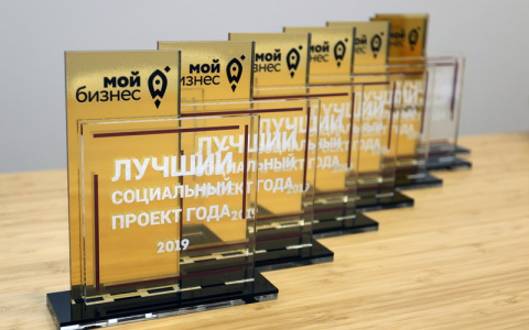 Итоги конкурса «Лучший социальный проект года» в Республике Марий Эл