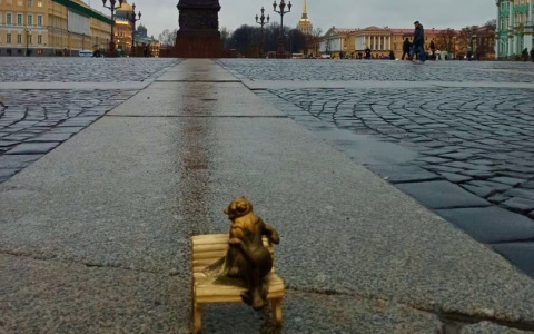 «Йошкин кот уже там»: известно по каким дням будут ходить рейсы Йошкар-Ола—Санкт-Петербург