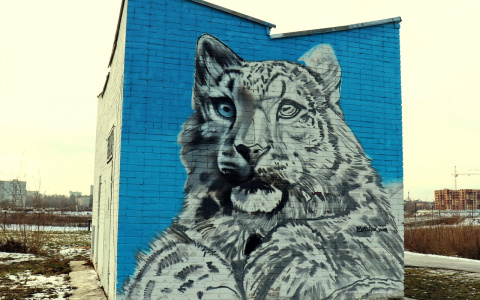 В Йошкар-Оле граффити краснокнижного животного обрело краски