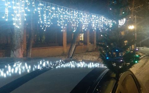 Хозяин "зеленоглазого" такси в Йошкар-Оле рассказал о необычной идее на Новый год