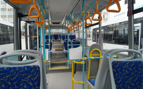 Москва, Чебоксары, Яранск: куда можно добраться из Йошкар-Олы на автобусе