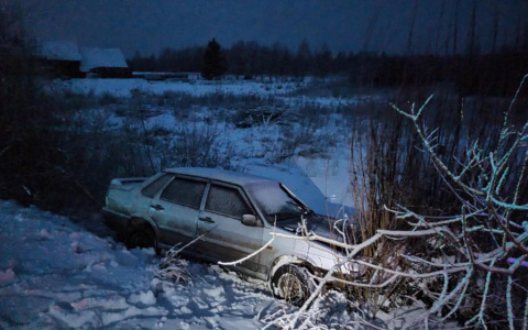 Водителя, который сбил жительницу Марий Эл и оставил ее на обочине, поместили в СИЗО