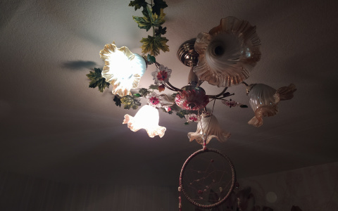 Йошкаролинцы на несколько часов останутся без света