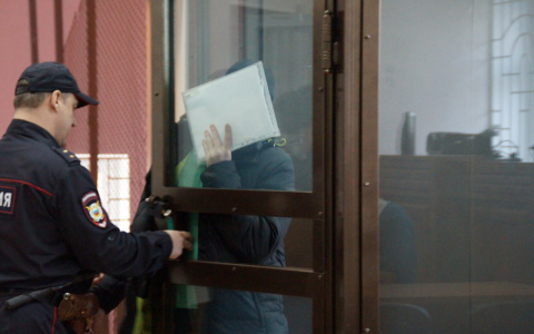 Жительница Марий Эл, пырнувшая ножом и оскорбившая полицейского, получила реальный срок