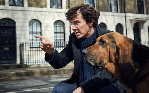 Тест дня: узнайте насколько быстро работает ваш мозг