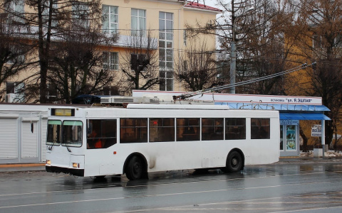 Йошкаролинцы комментируют: в столице республики появились новые троллейбусы
