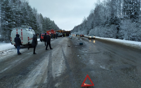 Разыскиваются очевидцы смертельного ДТП на трассе в Марий Эл, где «скорая» влетела под КамАЗ