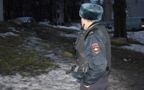 В ФСБ рассказали, откуда приходили сообщения о массовом минировании в Марий Эл