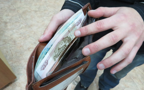 Понятие МРОТ для жителей Марий Эл закрепят в конституции