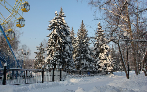 О погоде на неделе — в Йошкар-Олу возвращается мороз