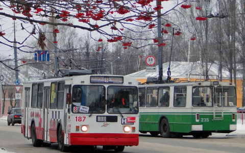 Йошкар-Олу и Медведево свяжет новый троллейбусный маршрут