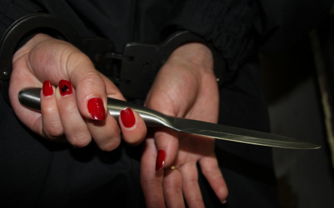 Жительница Марий Эл со злости пырнула ножом знакомого в живот