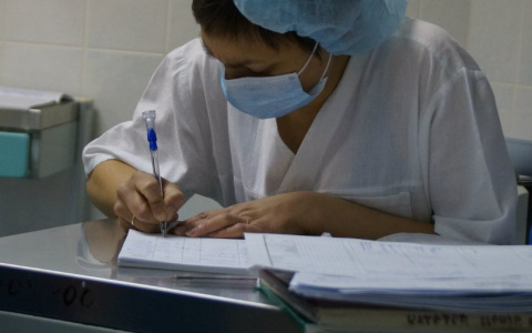 Марий Эл выделят более 300 миллионов рублей на развитие здравоохранения