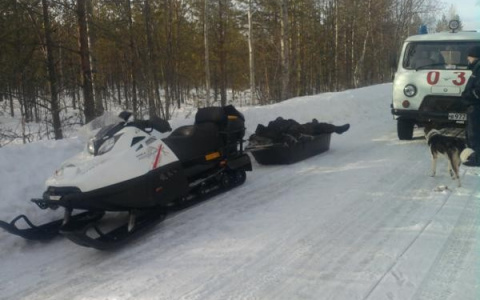 В Марий Эл неизвестные угнали снегоход без аккумулятора