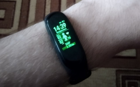 Новости России: врачи развеяли распространенный миф о фитнес-браслетах