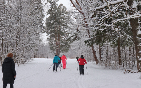 О погоде в Йошкар-Оле - к концу недели придет мороз