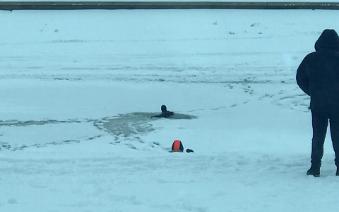 В Йошкар-Оле водолазы не нашли рыбака, провалившегося под лед на Кокшаге