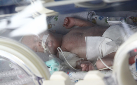 Около 300 процедур: жители Марий Эл стали родителями благодаря ЭКО