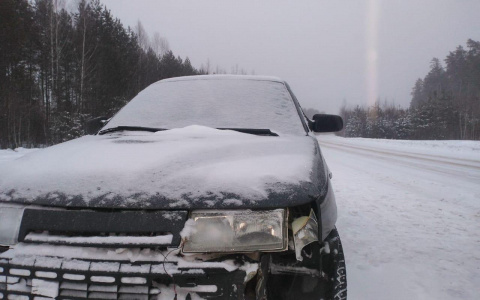 Автоледи на «двенадцатой» из Марий Эл перевернула авто и скрылась с места ДТП