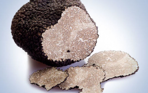 Кулинарный тест: определите экзотический ингредиент