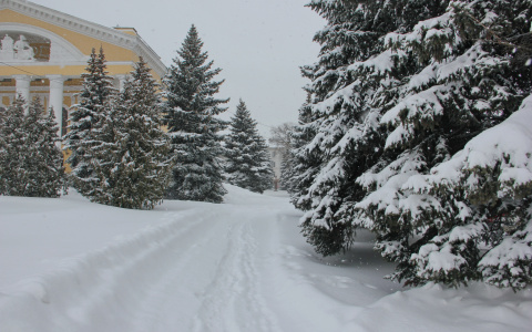 Завтра в Марий Эл ожидается усиление ветра