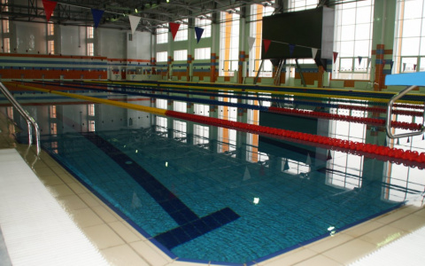 Йошкаролинка утонула во Дворце водных видов спорта