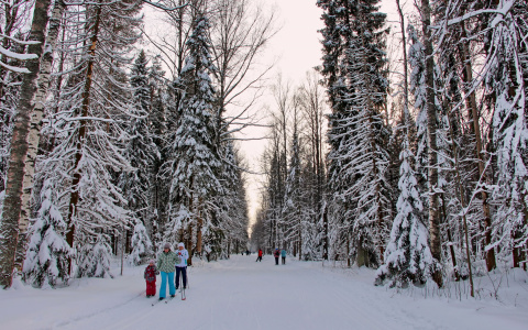 Южный ветер, солнечно и снег: погода порадует йошкаролинцев в выходные