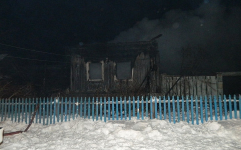 В Новоторъяльском районе Марий Эл сгорел жилой дом: есть пострадавшие