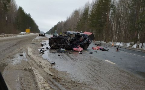 Появились фото с места страшной аварии на Кокшайском тракте в Марий Эл