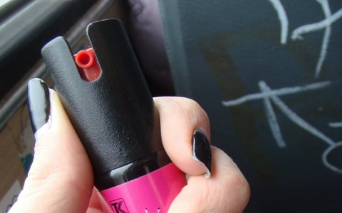 В Марий Эл подросток распылила перцовый балончик в лицо полицейскому