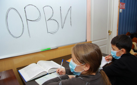 «Около 40 больных»: в Марий Эл из-за эпидемии школы и детсады уходят на карантин