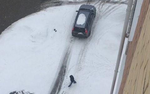 В пригороде Йошкар-Оле водители объезжают лужу по тротуару