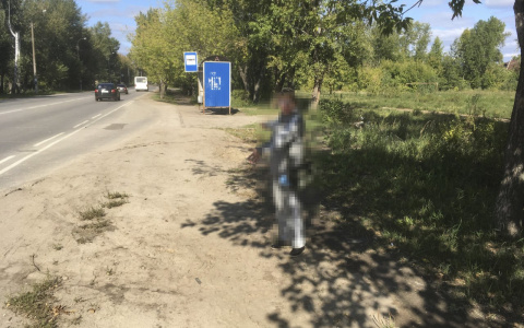 Житель Марий Эл прямо на улице пытался изнасиловать 13-летнюю девочку