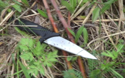 В Марий Эл суд снизил срок подросткам, зарезавшим обидчика отца