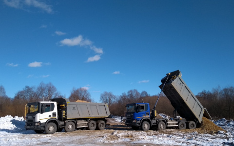 «Тут надо не меньше ста тысяч КамАЗов»: йошкаролинцы замечают первые изменения в сосновой роще